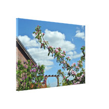 Flowering Branches Against Blue Sky Canvas Prints