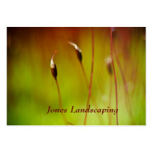 Flowering Moss Nature Business Cards