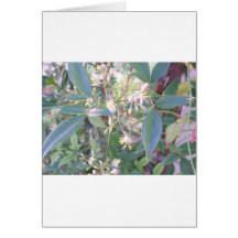 Flowering Plant Card