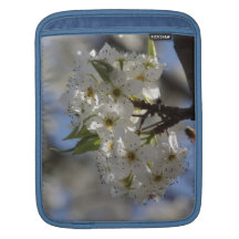 Flowering Tree and Bee Sleeves For iPads