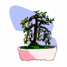 Flowering Upright Bonsai Yellow in pink pot Cut Outs