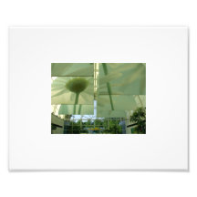 Flowers Above Photo Art