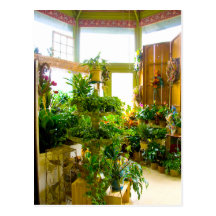 Flowers and Plants Florist Shop Photo Postcard
