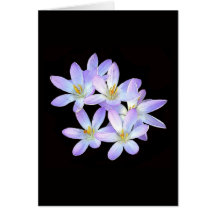 Flowers Card
