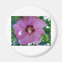 Flowers Fridge Magnets