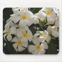 Flowers in Bangkok Mouse Pad