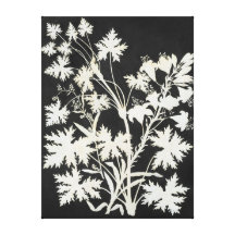 Flowers in Silhouette Canvas Print