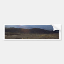 Flowers in the Death Valley bumper stickers