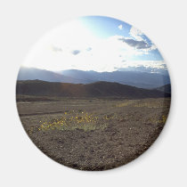 Flowers in the Death Valley magnets