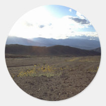 Flowers in the Death Valley stickers