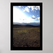 Flowers in the Desert posters