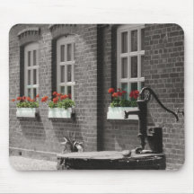 flowers in the window mouse mats
