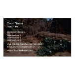 Flowers of the Grand Canyon flowers Business Card Templates
