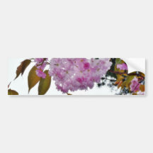 Flowers On Tree Bumper Stickers
