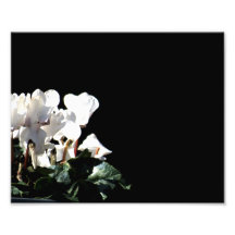 Flowers Photo Print