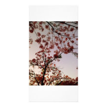Flowers Picture Card