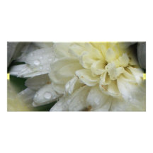 flowers picture card