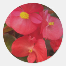 Flowers & Plants Stickers