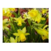 Flowers Postcard
