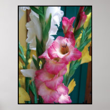 flowers posters