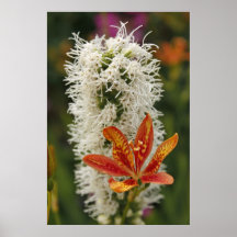 Flowers Poster