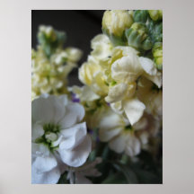 Flowers Poster