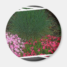 Flowers Refrigerator Magnet