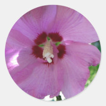 Flowers Round Sticker