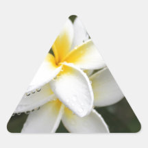 flowers sticker