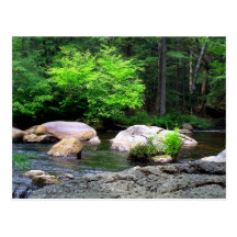 Flowing River Post Card