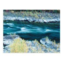 Flowing River Postcard