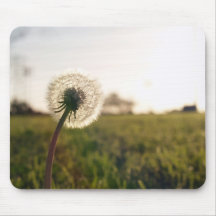 fluff of a dandelion mouse pad