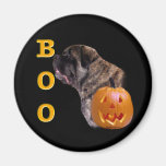 Fluffy Mastiff Boo Magnet