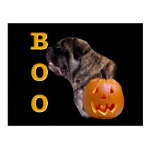Fluffy Mastiff Boo Postcard