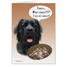 Fluffy Mastiff Turkey Card