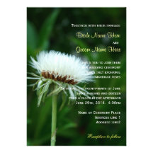 Fluffy white plant head summer wedding announcements