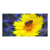 Fluorescent Bee Customized Photo Card
