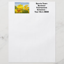 Flyers Custom Sports Team Summer Tournament