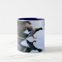Flying Duck Landing on a Lake Coffee Mug