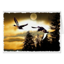 FLYING DUCKS Greeting Cards