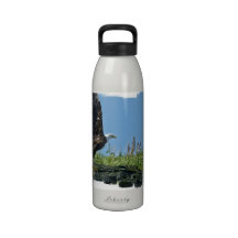 Flying Eagle Water Bottle