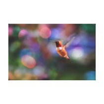 Flying Hummingbird and Colorful Background canvas prints