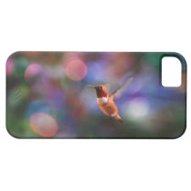 Flying Hummingbird and Colorful Background casemate cases
