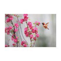 Flying Hummingbird and Flowers canvas prints