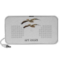 Flying Pelicans 3 Speakers speakers