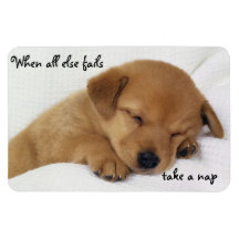 FMS - take a nap Magnet