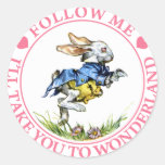 FOLLOW ME - I'LL TAKE YOU TO WONDERLAND! STICKERS