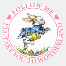 FOLLOW ME - I'LL TAKE YOU TO WONDERLAND! STICKERS