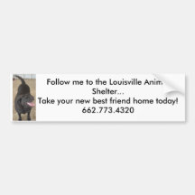 Follow Me to the Louisville Animal Shelter Bumper Stickers