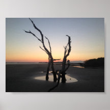 Folly Beach driftwood Posters